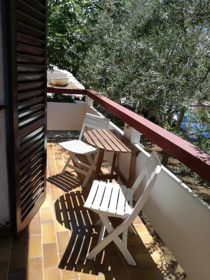 Aenona Sunny Apartment Vrsi Buitenkant foto